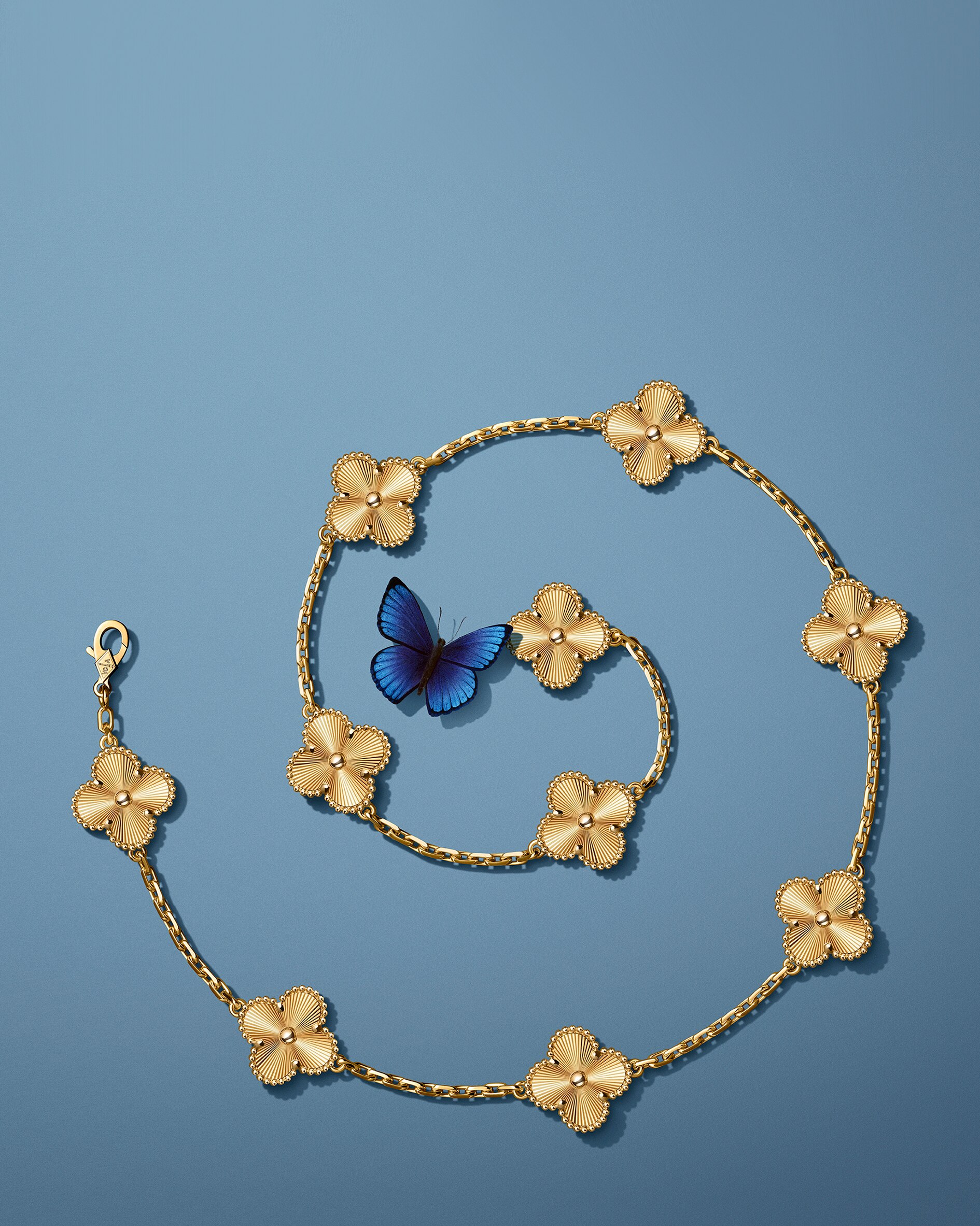 Discover the collection