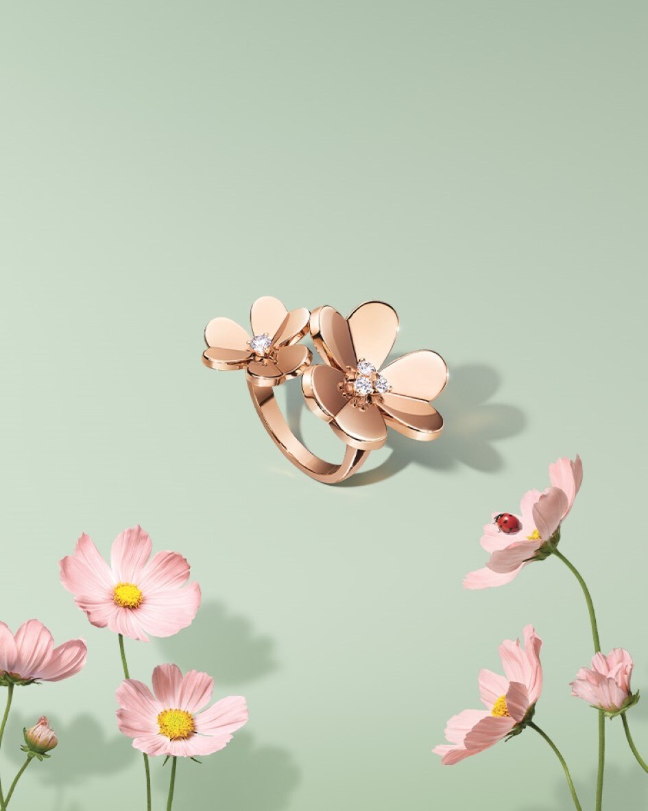 Discover the collection