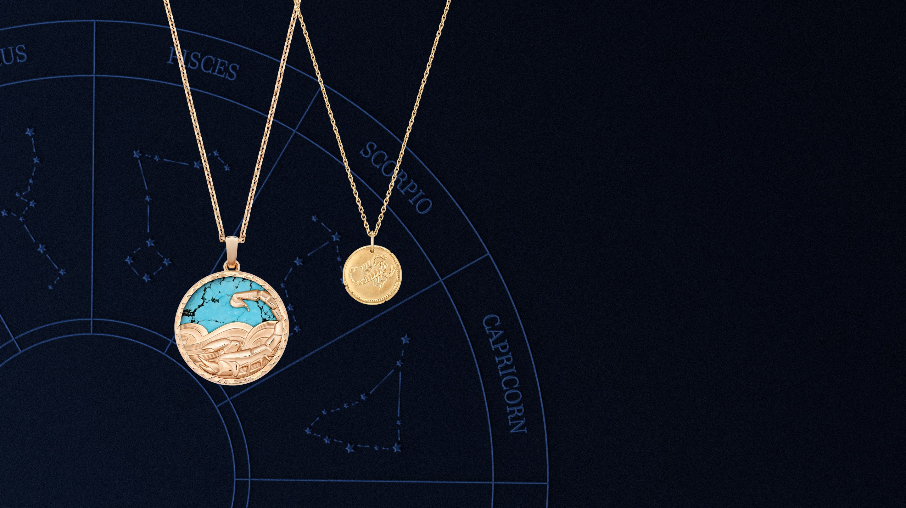 Discover the collection